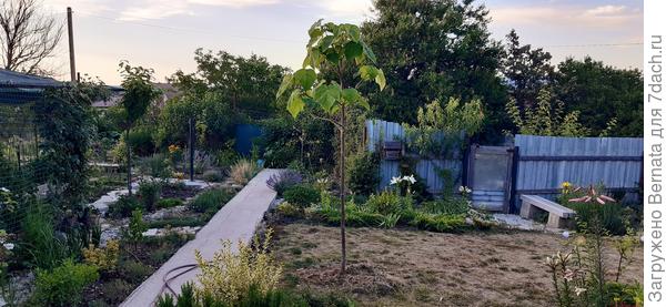 Ровно год назад... Лысая полянка из-за склона и того, что вода не удерживается:)