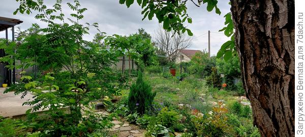 Тот же ракурс сейчас...