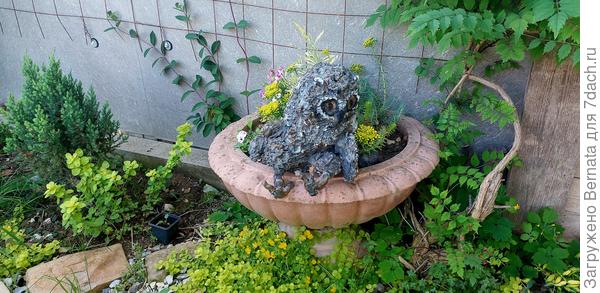 Глафире выделила личное гнездо:)