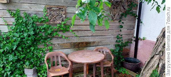 Пусть плющ заплетает забор, да на дом перебирается.. .