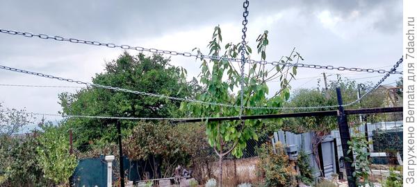 Вот здесь видно