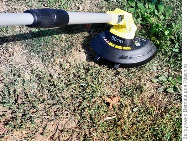 Муж сразу же побежал косить... Но дождей, как не было, так и нет, поэтому с травой у нас сейчас напряжёнка:)))