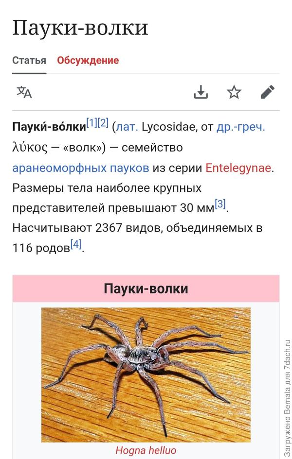 Из Википедии