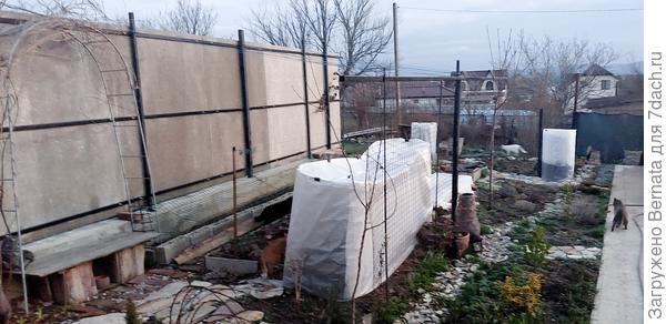 Март 2021 года - небольшой парник из металлической сетки и плёнки