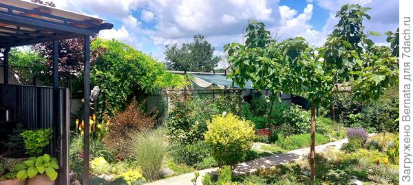 Вид на огород с террасы