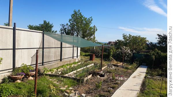 Май 2021 года