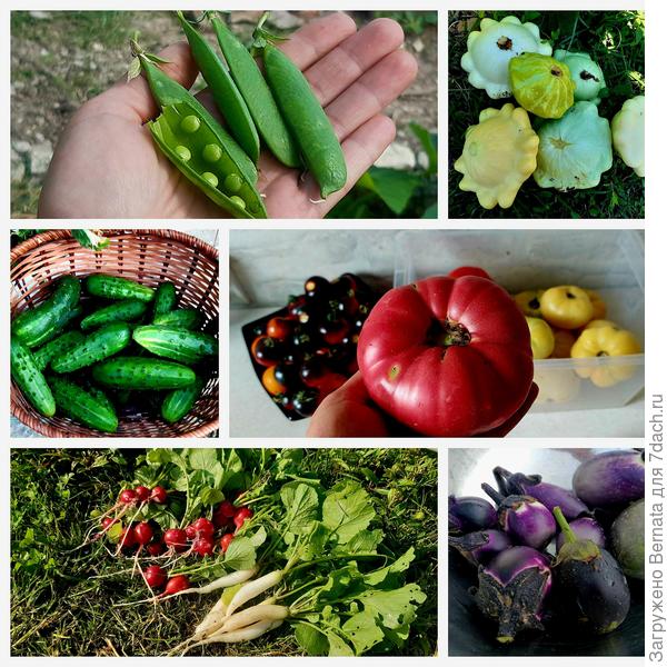 И это ещё не всё...