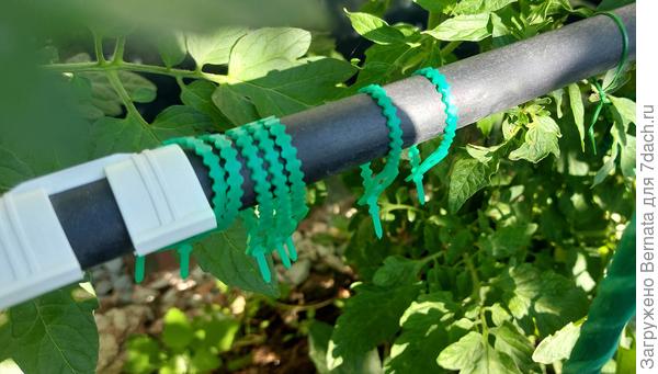 Здесь же храню крепеж, чтобы не бегать двадцать раз, если кто-то куда-то не туда вырос