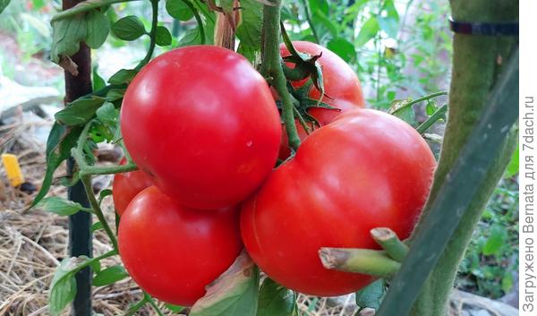 Июль 2023 года