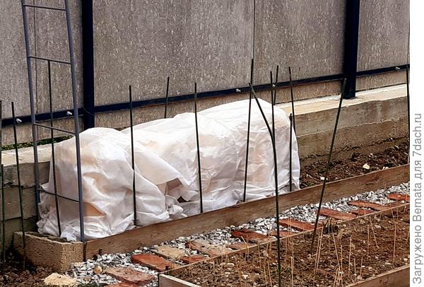 Весна 2022 года