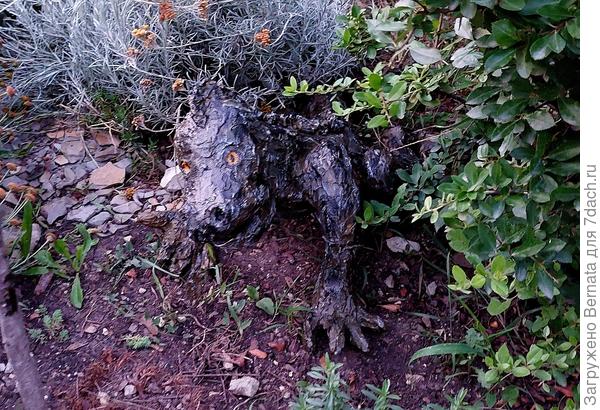 Пусть здесь живёт:))