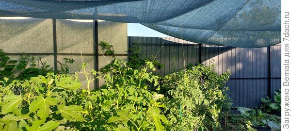 "Наша дура выше всех":))