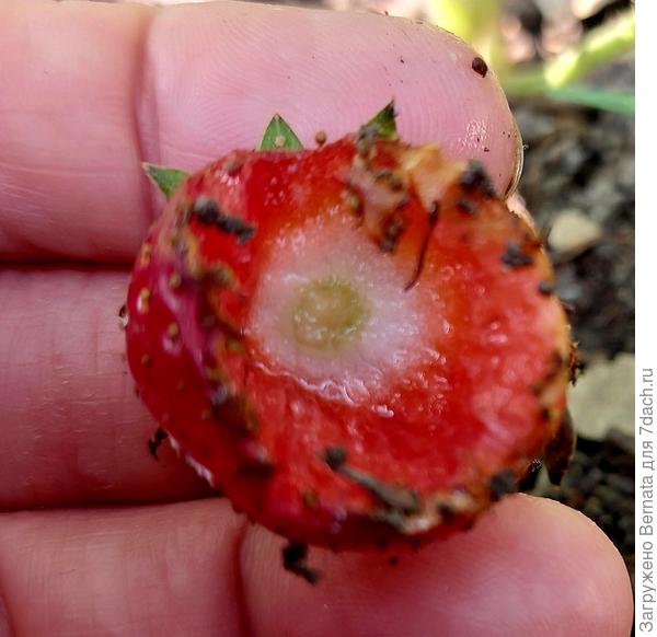 Остались одни стенки