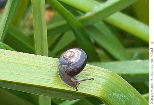 Мелких тоже хватает