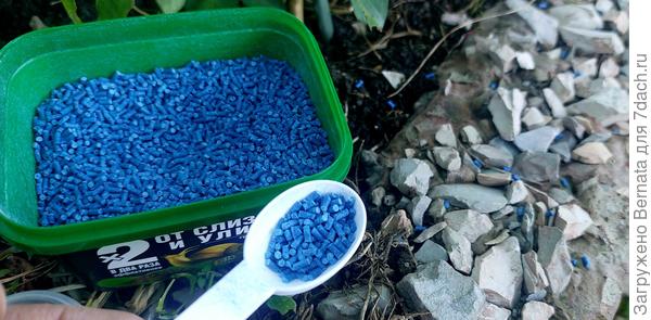 По бортикам грядок с перцами и томатами