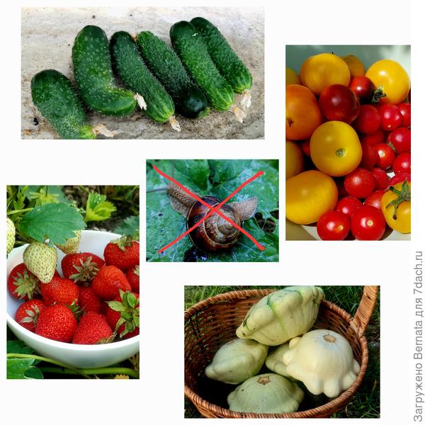 Прочь от урожая!