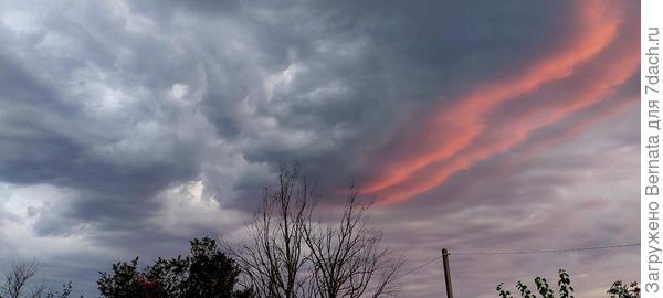 Утро над моим домом