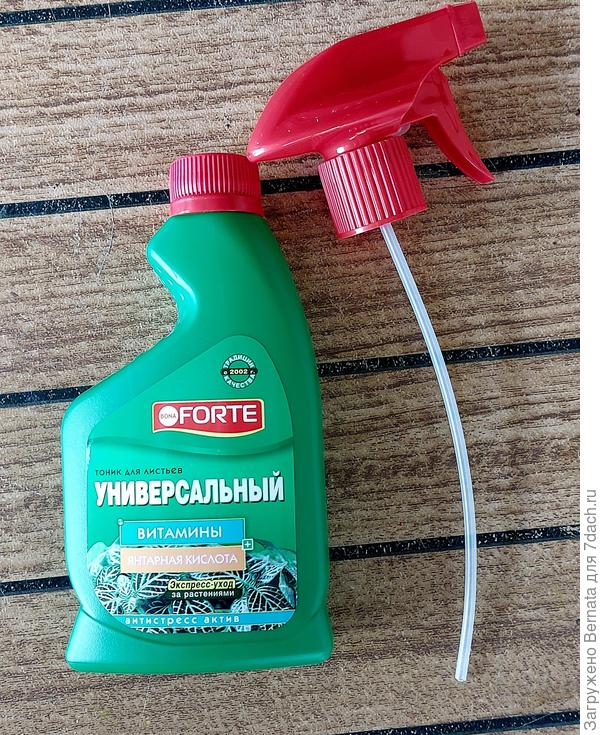 Витаминный тоник с янтарной кислотой- на случай, если кто-то из комнатных растений отстаёт в росте или "не хочет" у меня жить :)