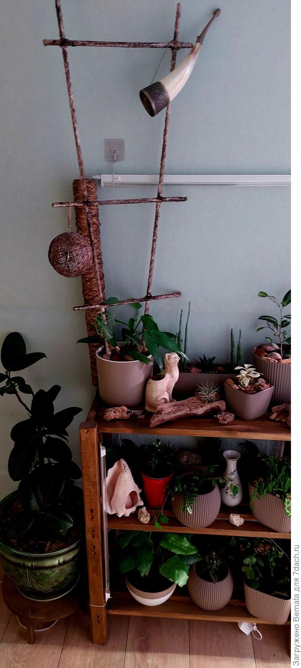 Впадаю в детство, да, я в курсе:)))