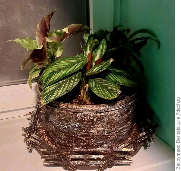 Много горшков делаю сама из всякого хлама