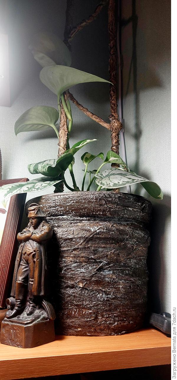 И горшки из хлама, и подпорки...