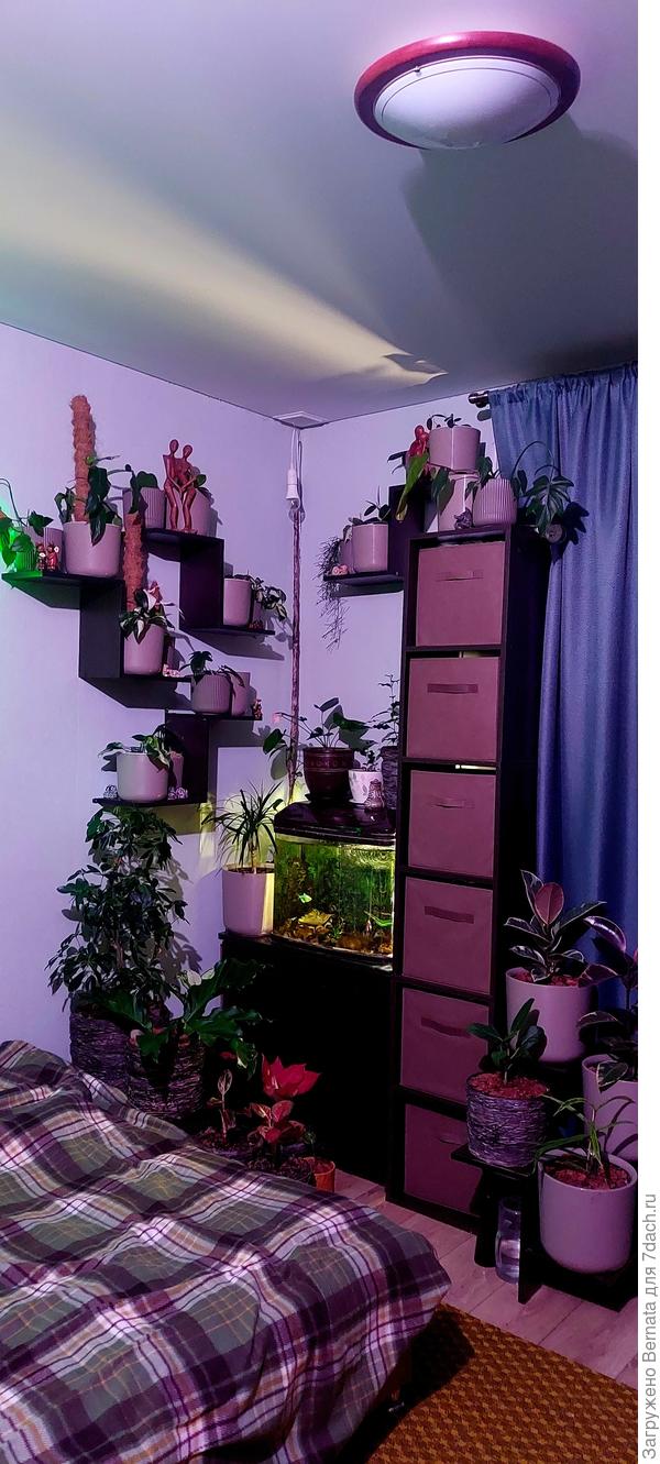 Живой уголок