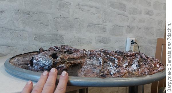 Высота морды лошади