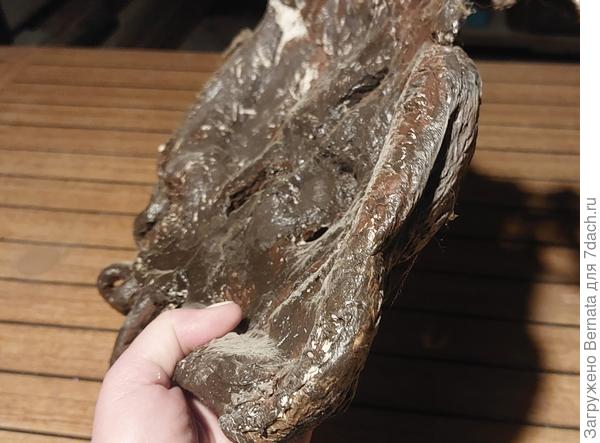 То есть, внутри она "впуклая", а снаружи выпуклая:)))