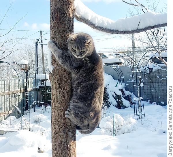 В какой сугроб лучше приземлиться?