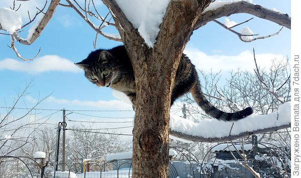 Снимите меня немедленно!