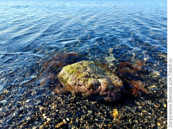 Температура воды +18... Бррр...