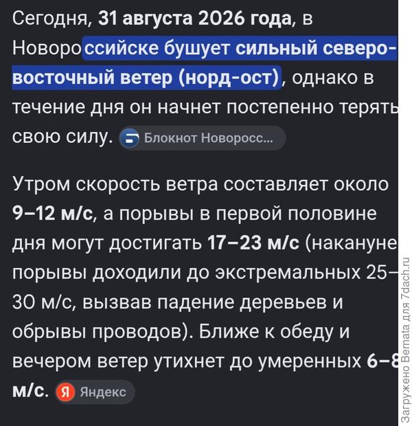 Но должен к вечеру стихнуть...