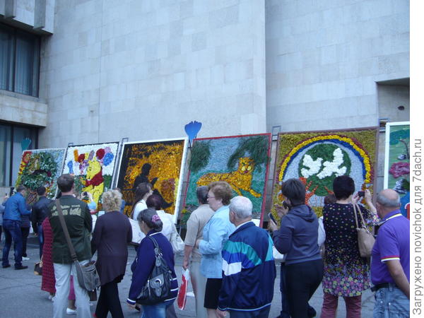 картины из цветов