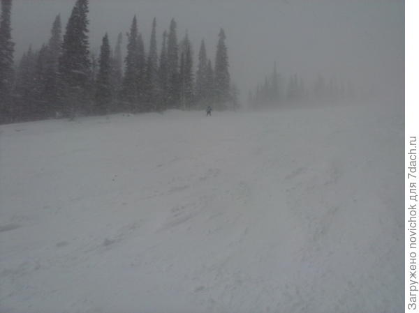метель