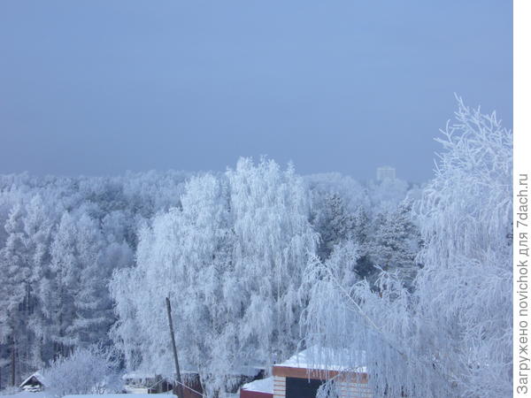 вид из окна