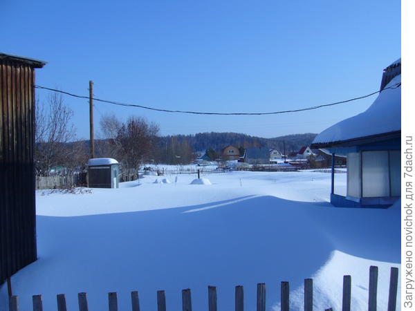 газон