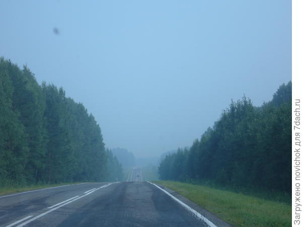лес в дыму от пожара 2016 года