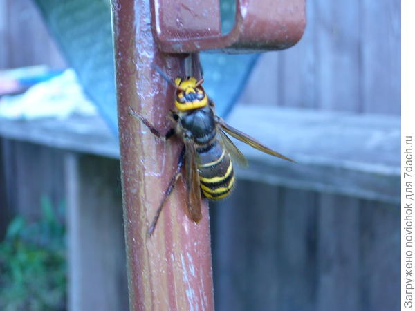 "монтажник-высотник"