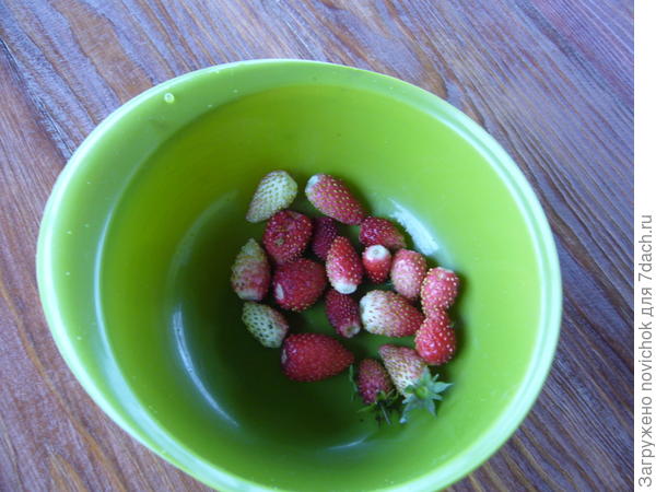 собрано 01.10.17г,