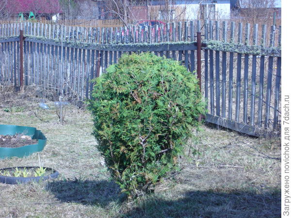 без трафарета стрижка