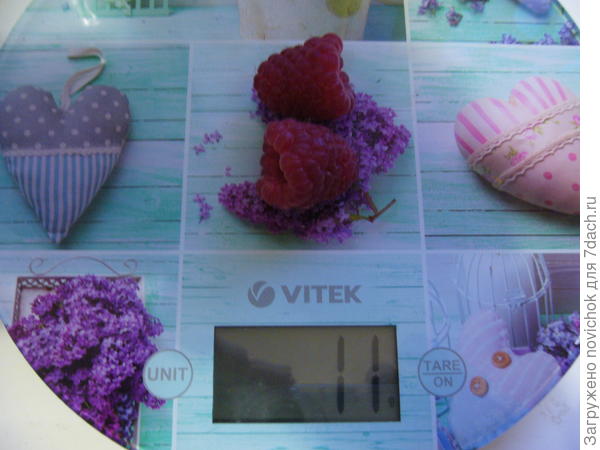 первые ягодки Карамельки