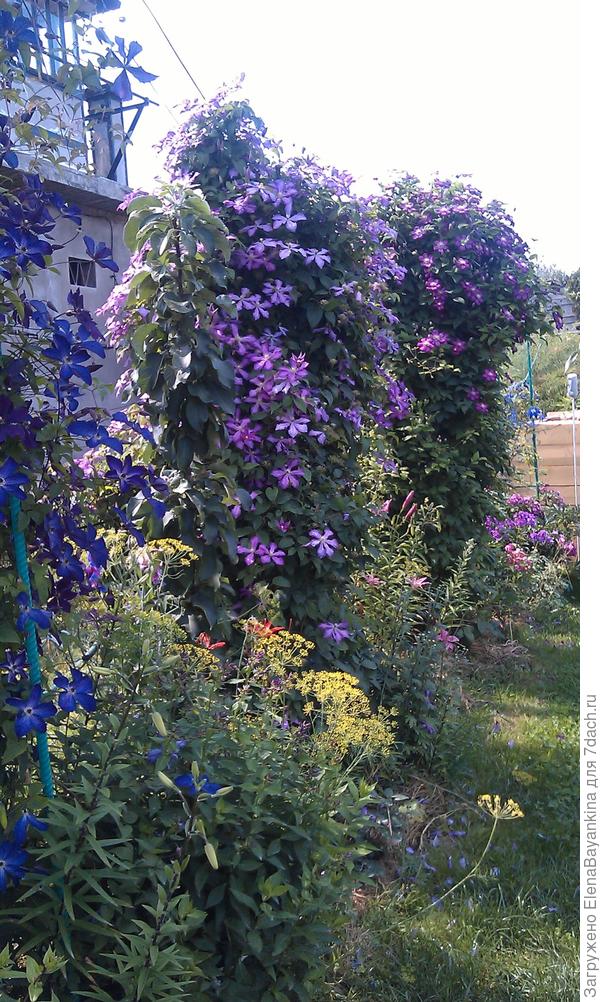 Это мои колонны из арматуры.