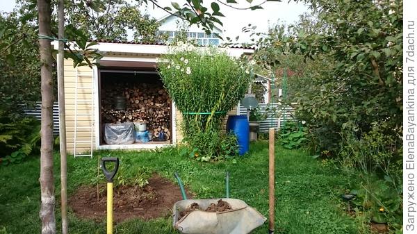 Это наша древних на даче