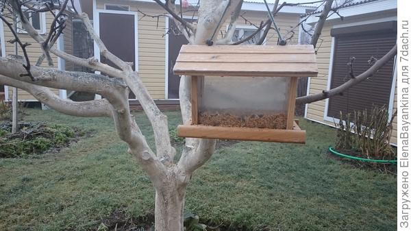 Мы тоже не забываем о птица в зимнее время