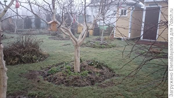 Приствольных круг