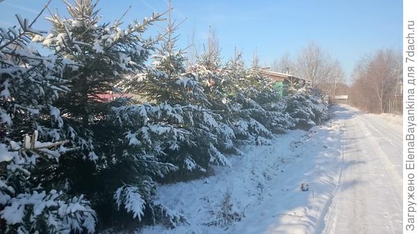 Поздравление