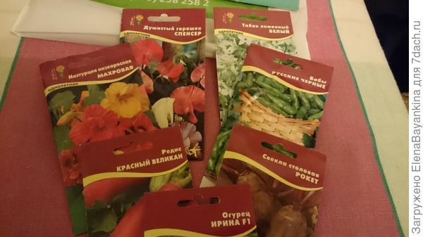 Семена из магазина