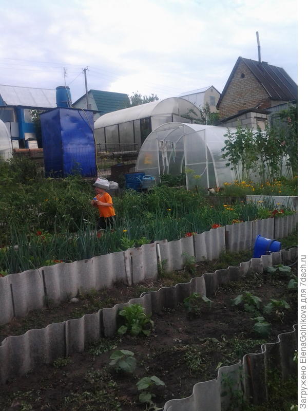 высокие грядки и 4-метровка теплица