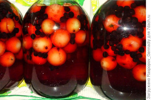 Компот из черноплодки