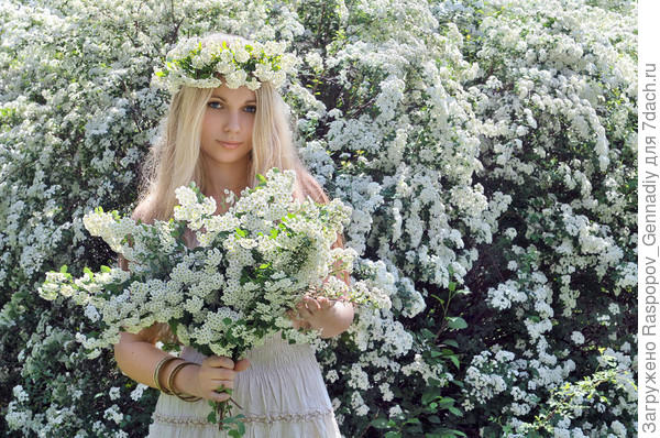 девушки сербии